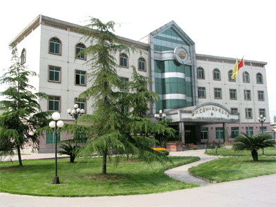 四川宏达股份有限公司