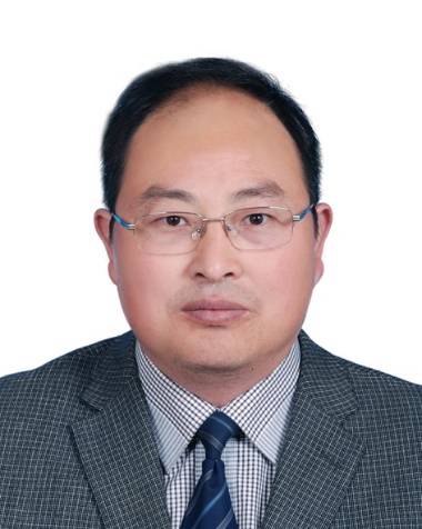 王定标（郑州大学化工与能源学院副院长）