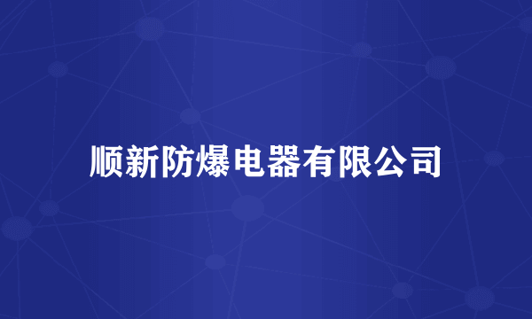 顺新防爆电器有限公司