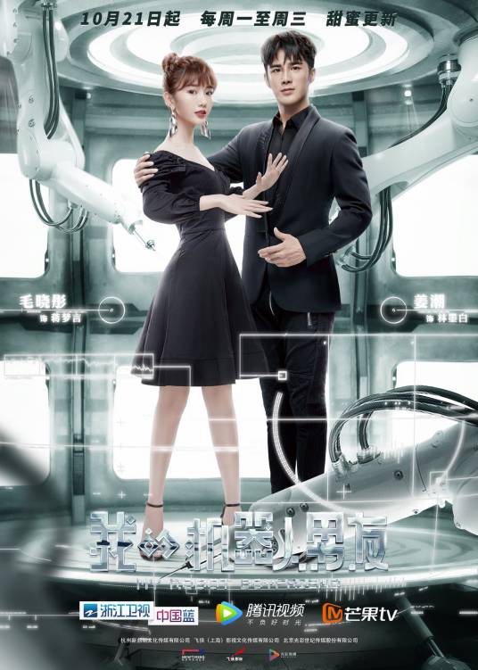 我的机器人男友（2019年曾丽珍执导的电视剧）