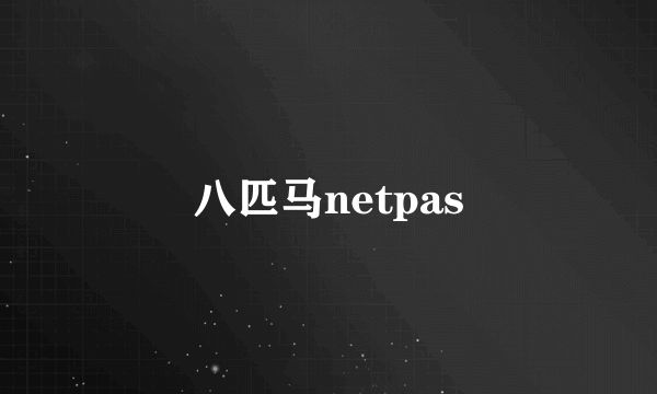 八匹马netpas