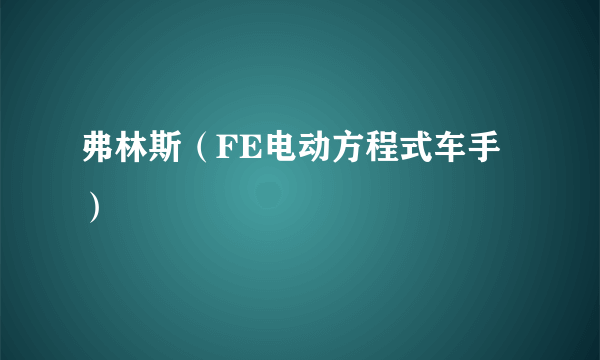 弗林斯（FE电动方程式车手）