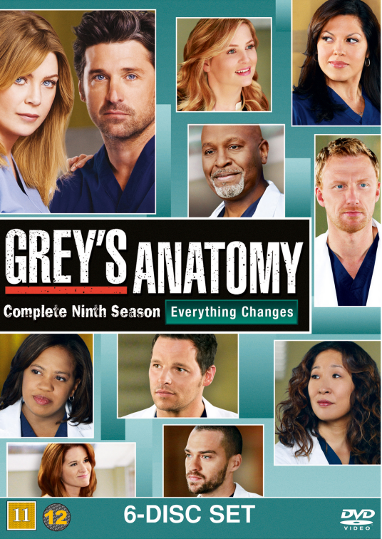 实习医生格蕾第九季