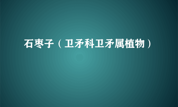 石枣子（卫矛科卫矛属植物）