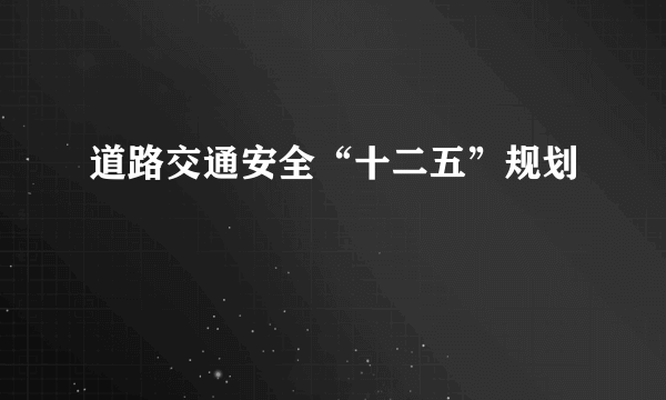 道路交通安全“十二五”规划