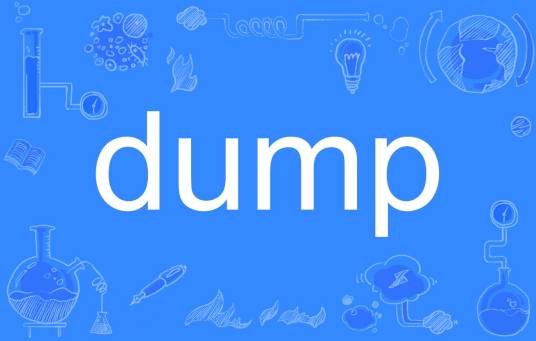 dump（英语单词）