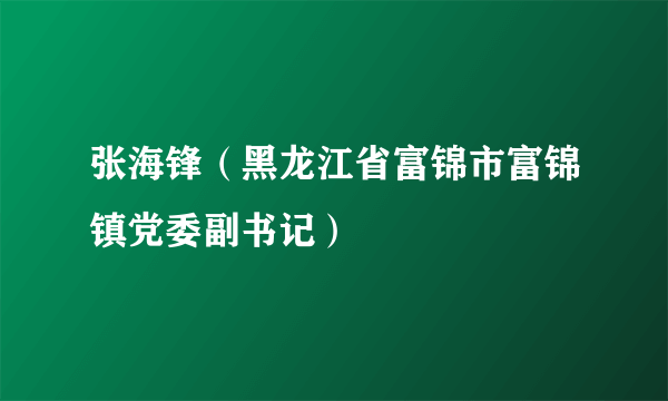 张海锋（黑龙江省富锦市富锦镇党委副书记）