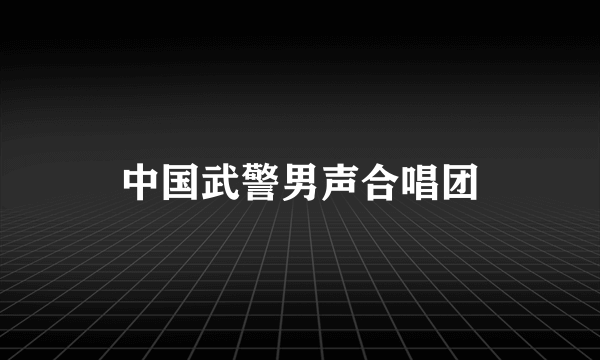 中国武警男声合唱团