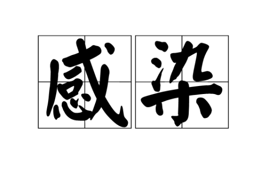 感染（汉语词语）