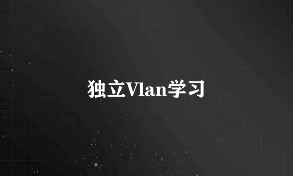 独立Vlan学习