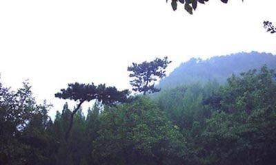 松林公园（大庆松林公园）