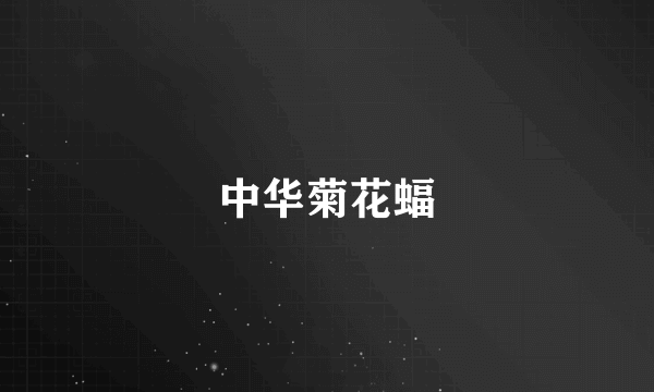 中华菊花蝠