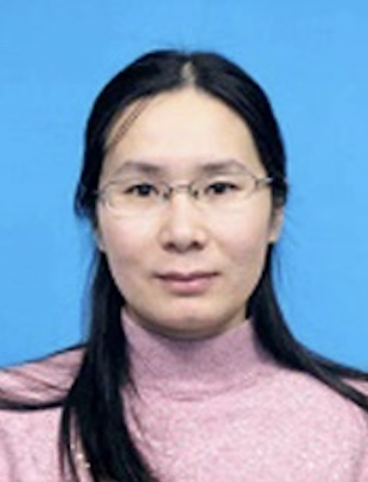 薛冰（山东大学医学院病理学与病理生理学系，副教授）