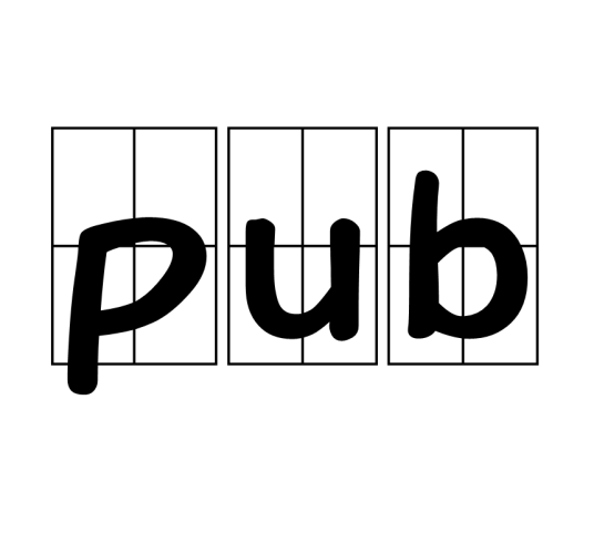 pub（地理名词）