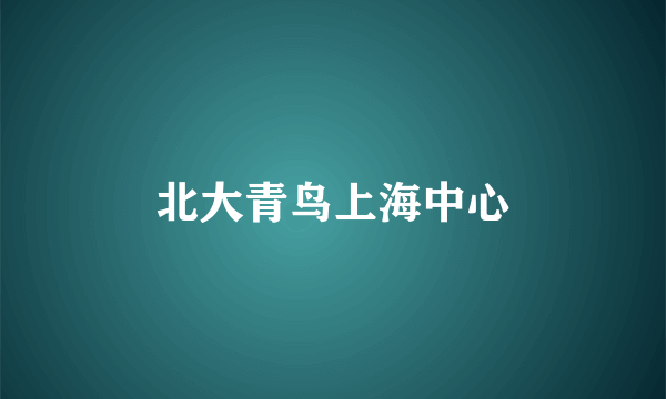 北大青鸟上海中心