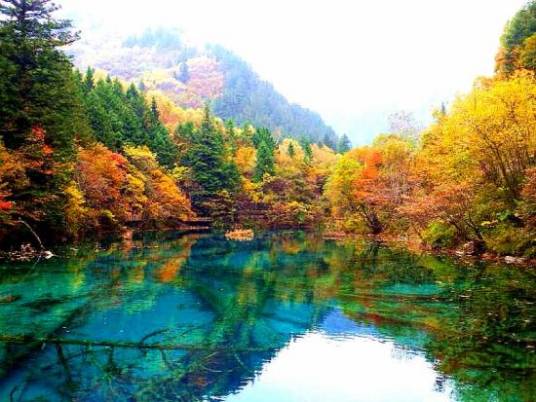 天然氧吧（定理定律）