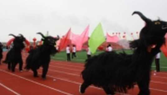 乃村（西藏自治区山南市洛扎县扎日乡辖行政村）