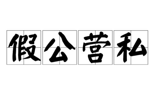 假公营私