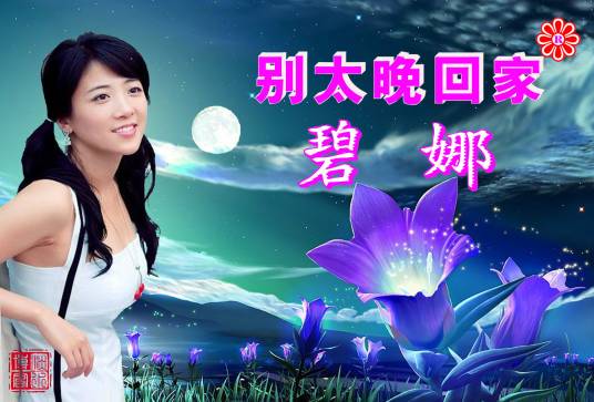 别太晚回家（碧娜专辑）