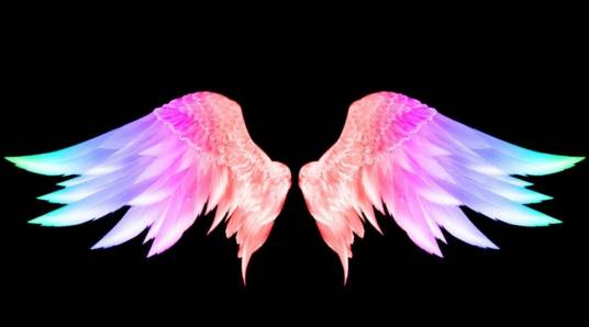 彩色的翅膀