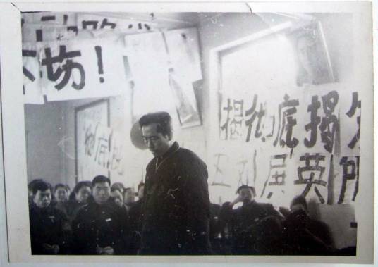 文革进入了我们的血液