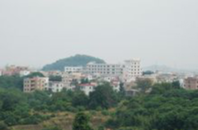 大塘村（广东省广州市南沙区黄阁镇下辖村）