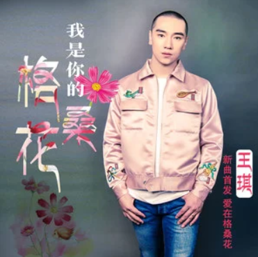 我是你的格桑花（王琪演唱的歌曲）
