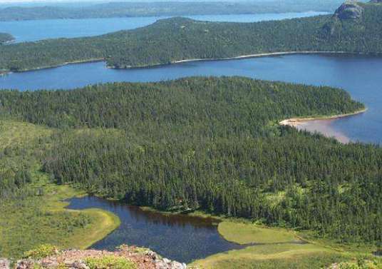 特拉诺瓦国家公园