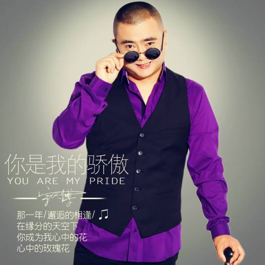 你是我的骄傲（宗义博演唱歌曲）