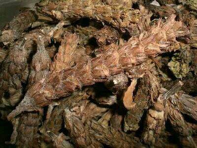 夏枯草（中药）