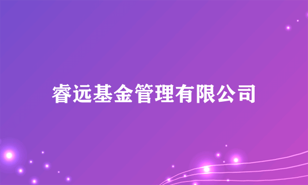 睿远基金管理有限公司
