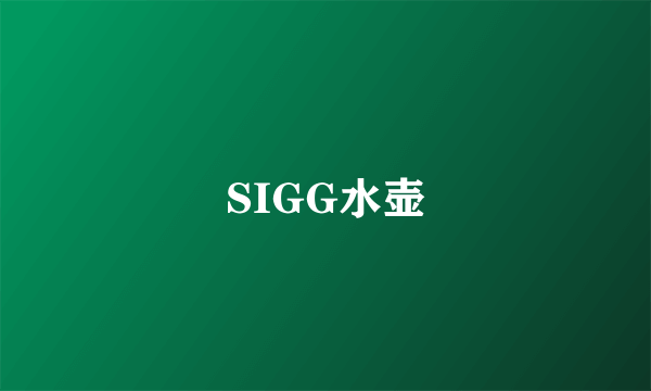 SIGG水壶