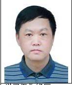 徐静平（华中科技大学教授）
