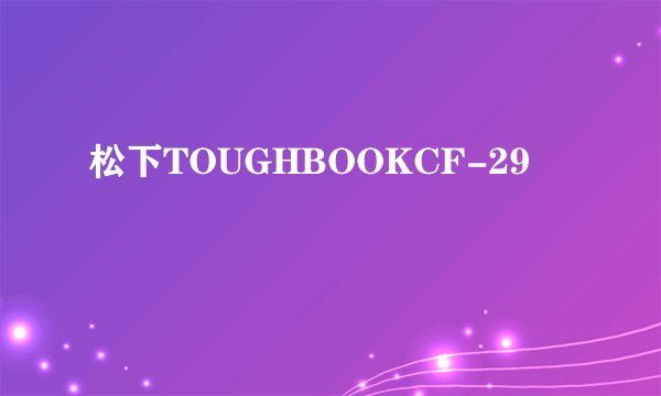 松下TOUGHBOOKCF-29