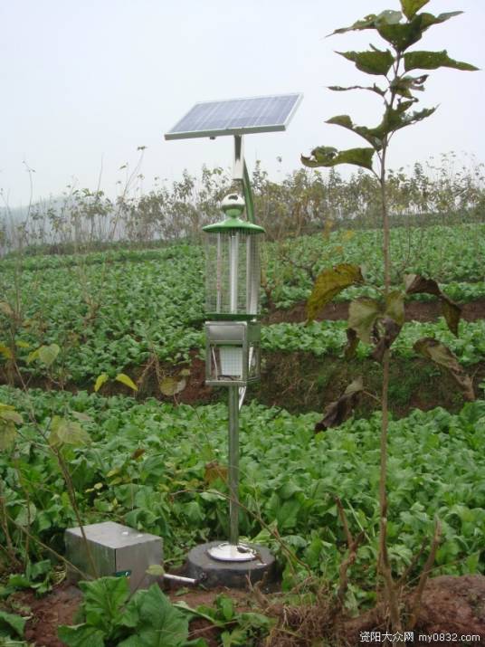 太阳能灭虫灯