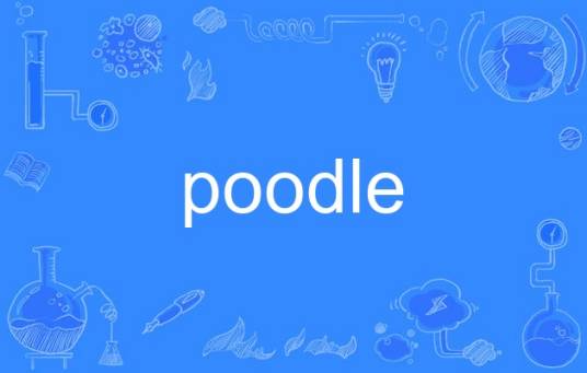 poodle