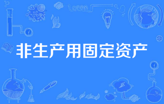 非生产用固定资产