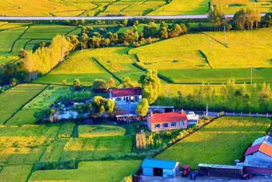 双丰镇（黑龙江省铁力市下辖镇）