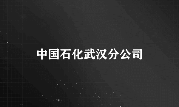 中国石化武汉分公司
