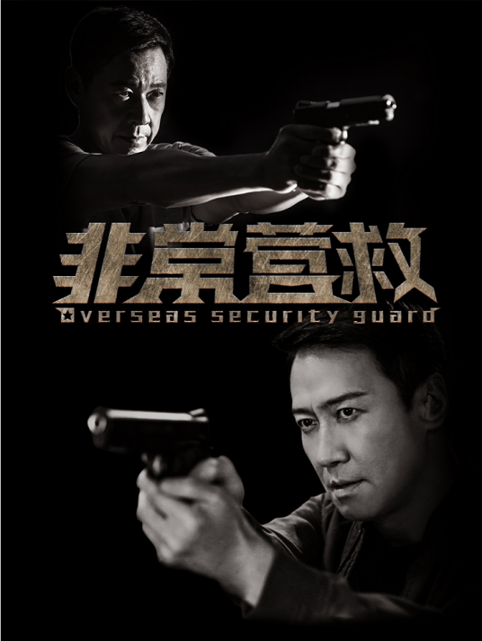 非常营救（2018年黎明、张丰毅主演的电视剧）