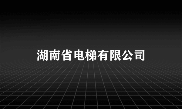 湖南省电梯有限公司