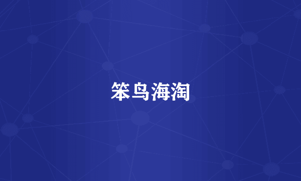 笨鸟海淘