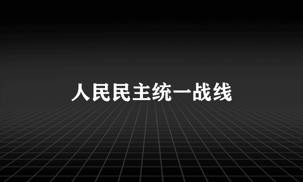 人民民主统一战线