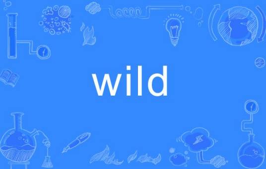 wild（英文单词）