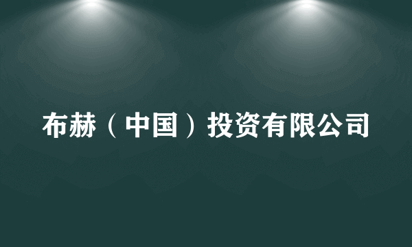 布赫（中国）投资有限公司
