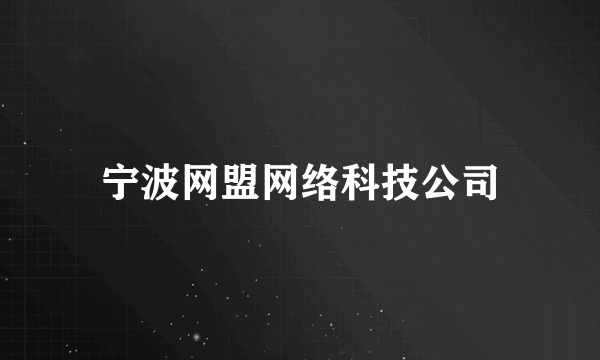 宁波网盟网络科技公司