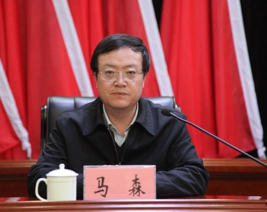 马森（甘肃省人大常委会民族侨务工作委员会原主任）