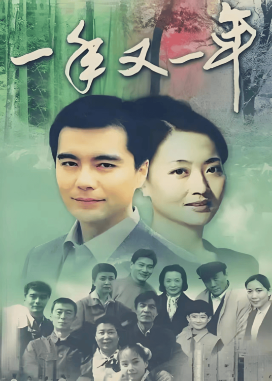 一年又一年（1999年李小龙、安战军执导的家庭剧）