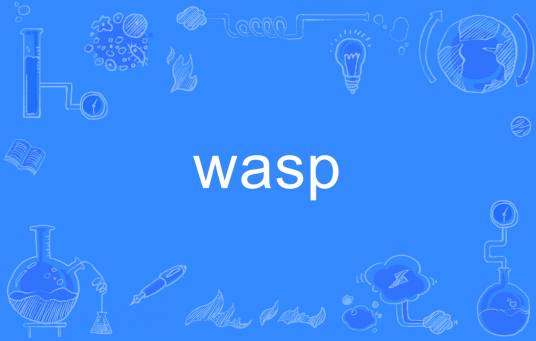 WASP（英语单词）