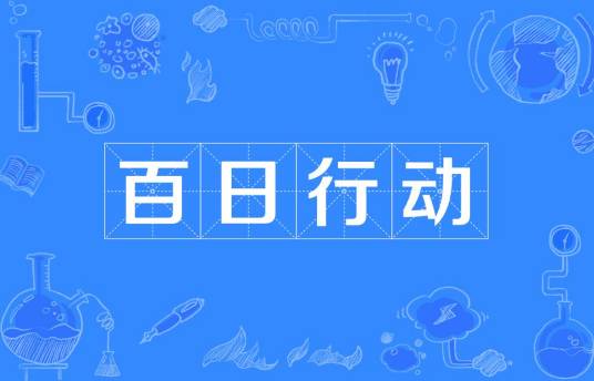 百日行动（2022年全国公安机关夏季治安打击整治“百日行动”）